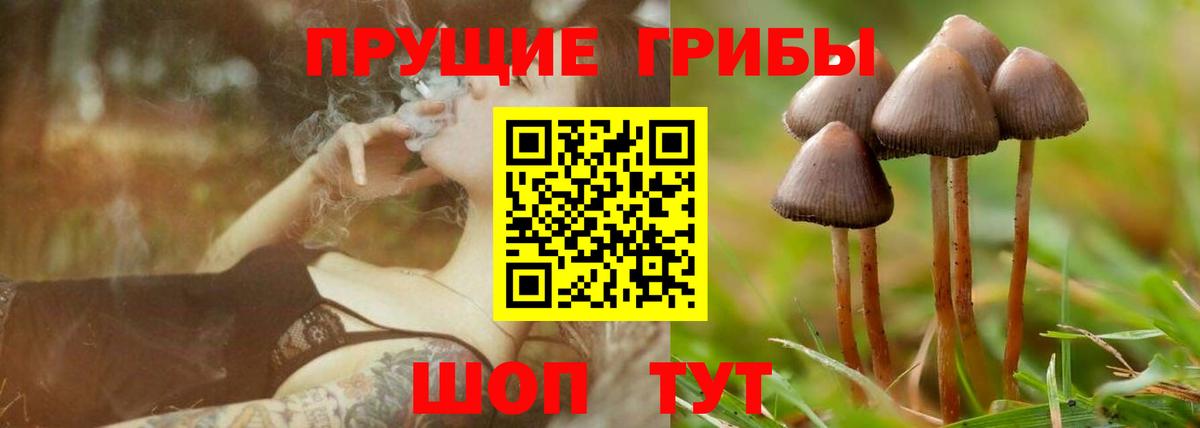 Чехов  Псилоцибиновые грибы мухоморы  Псилоцибиновые грибы Magic Shrooms  Вход с VPN 
