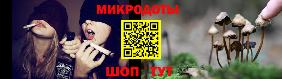 Псилоцибиновые грибы мухоморы Чехов